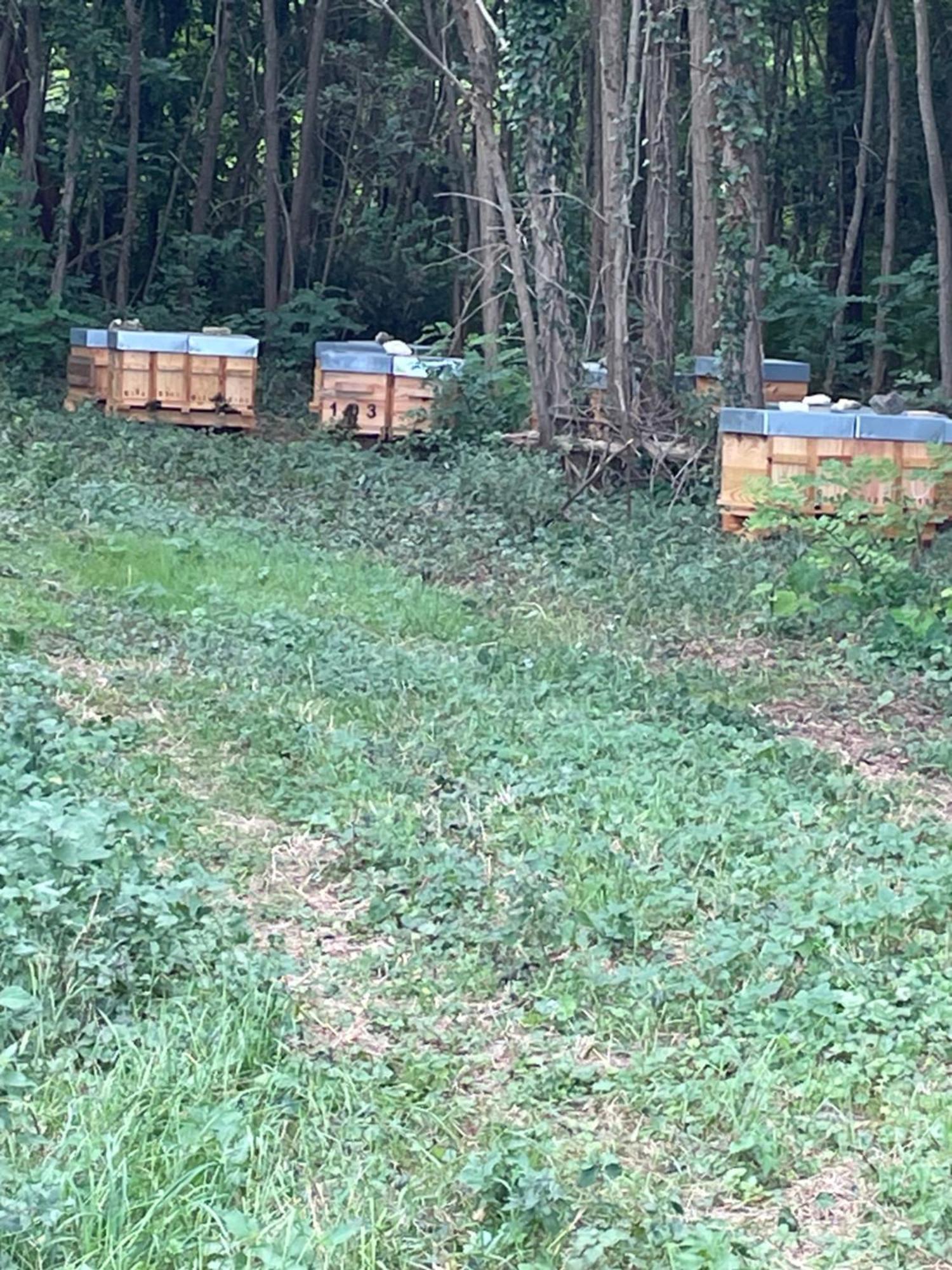 Domaine Des Quatre Terres