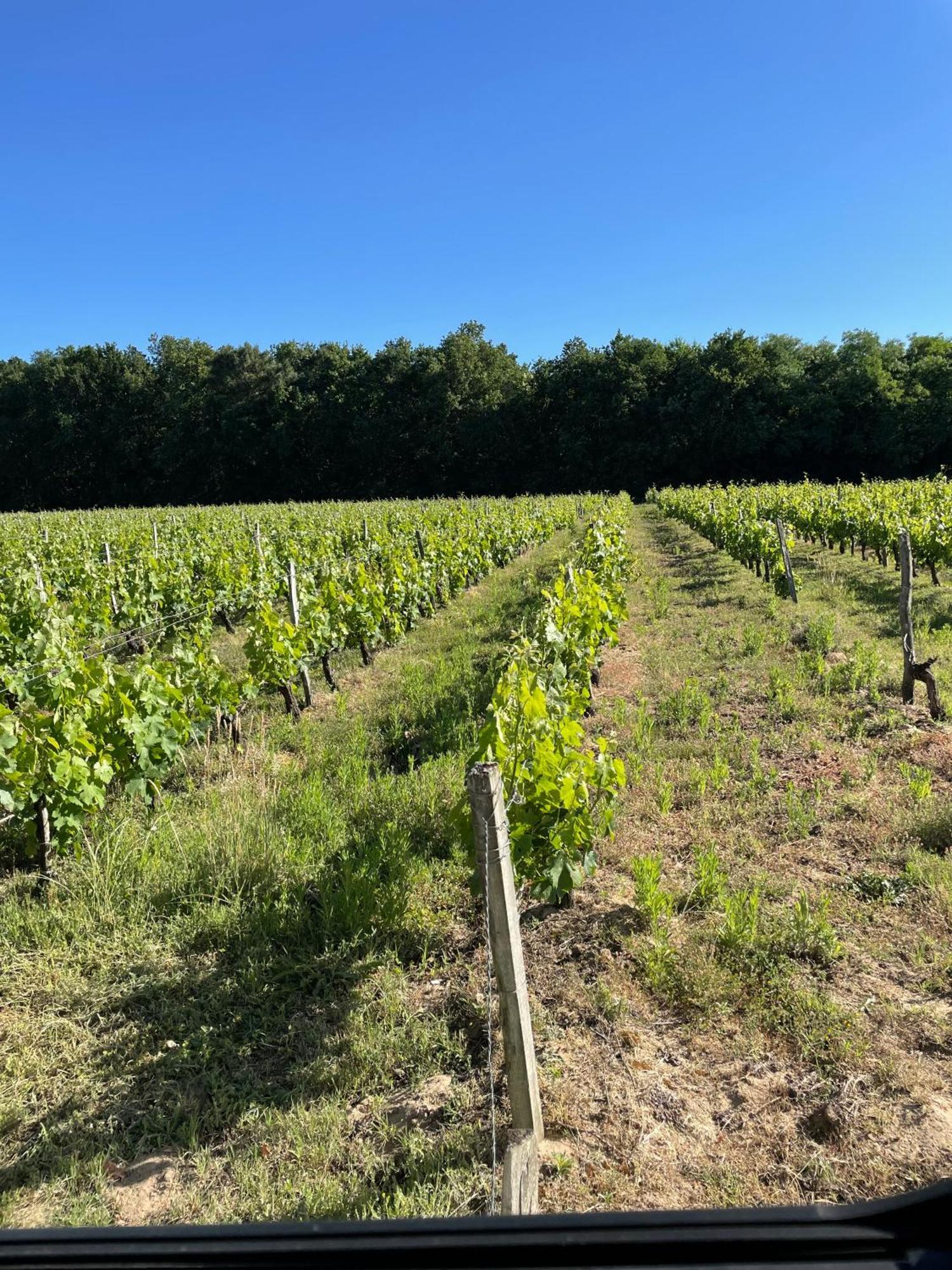 Domaine Des Quatre Terres * Lesparre-Medoc